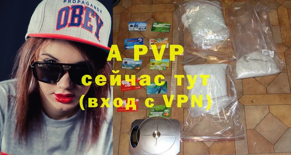 apvp Богородск