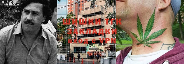 дурь Бронницы